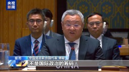 中國代表：加沙是巴勒斯坦人民的家園 不是國際政治的籌碼