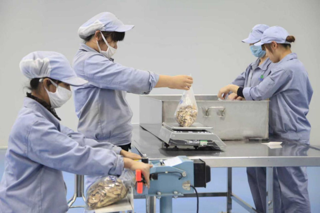 From the Hometown of Sun Simiao to a Modern City of Traditional Chinese Medicine Wellness: Tongchuan's Millennial Medical Heritage Lives On_fororder_圖片5