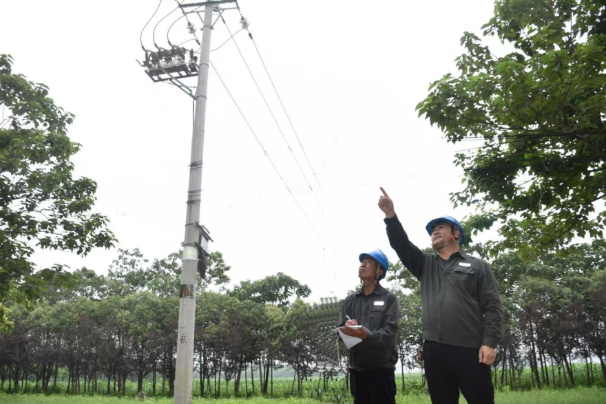 Kaifeng, Henan: Quality Power Supply Boosts Lankao's Melon Industry_fororder_圖片1
