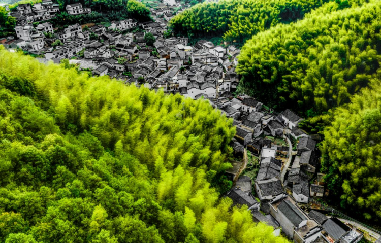 黃山市徽州區：返鄉創業潮涌 新業態點亮鄉村活力_fororder_返鄉創業潮涌1