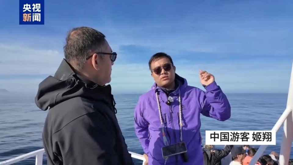 記者Vlog丨南非赫曼努斯“鯨魚節” 生態與文化交織的海洋盛會