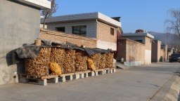 天水清水：鋪就惠民“連心路” 注入振興“暖溫度”