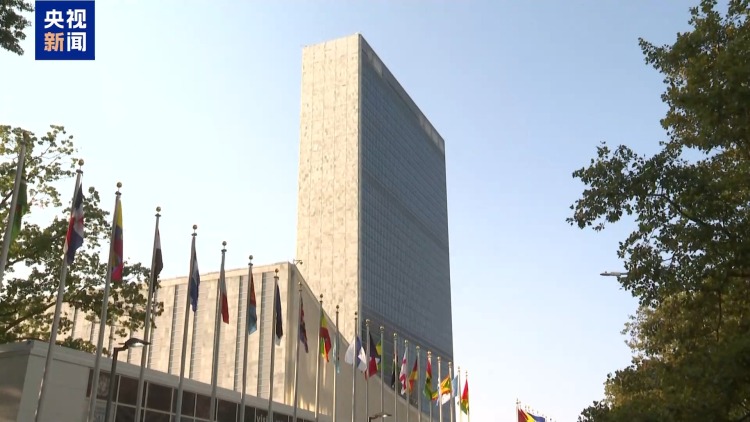 中方代表“全球治理之友小組”就聯合國改革作共同發言