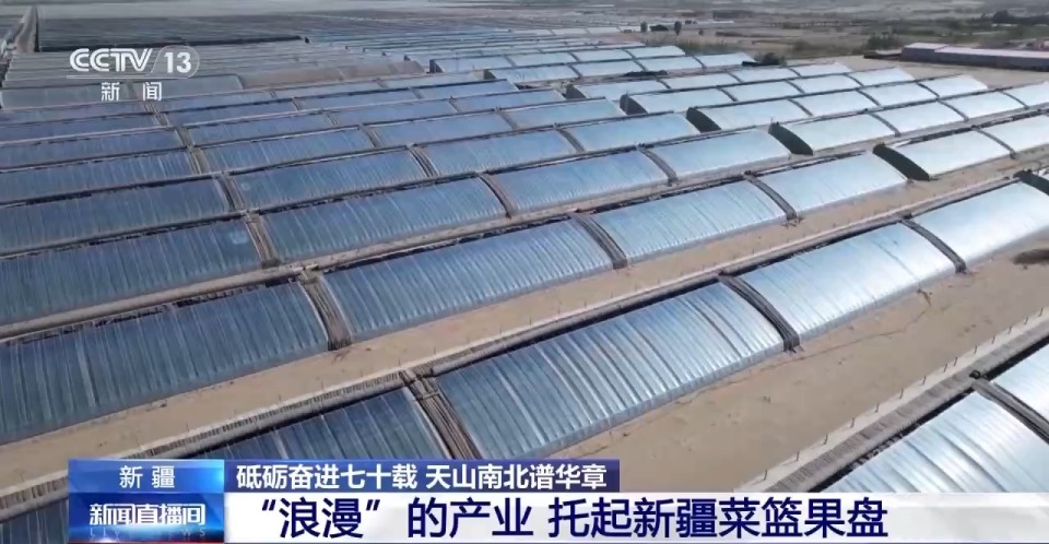 砥礪奮進七十載 天山南北譜華章丨沙漠上的“浪漫”産業 托起新疆菜籃果盤