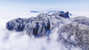 玉樹瓊枝 雲海仙境