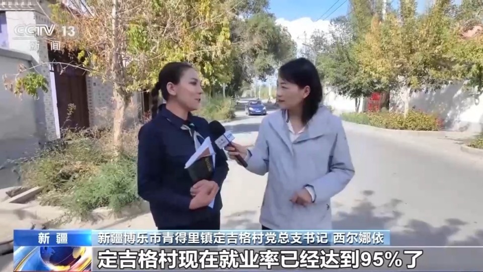 砥礪奮進七十載 天山南北譜華章丨農文旅融合 激活新疆鄉村振興新活力