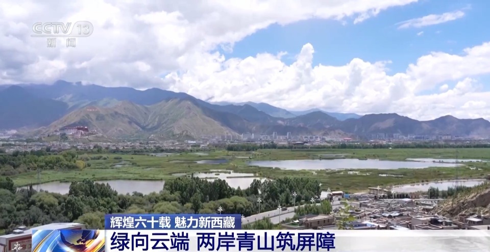 4年栽植苗木1.2億多株 看拉薩高原如何披“綠裝”