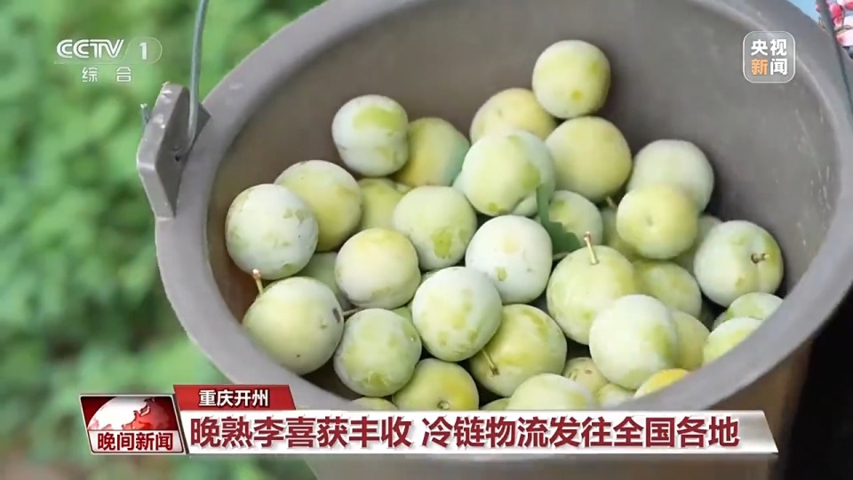 金秋時節好“豐”景 田間地頭搶收忙