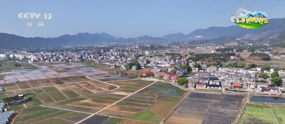 AI模型、“北斗”、物聯網……智慧農業成為田間地頭新常態