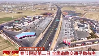 視頻丨春運第15天全社會跨區域人員流動量超2.2億人次