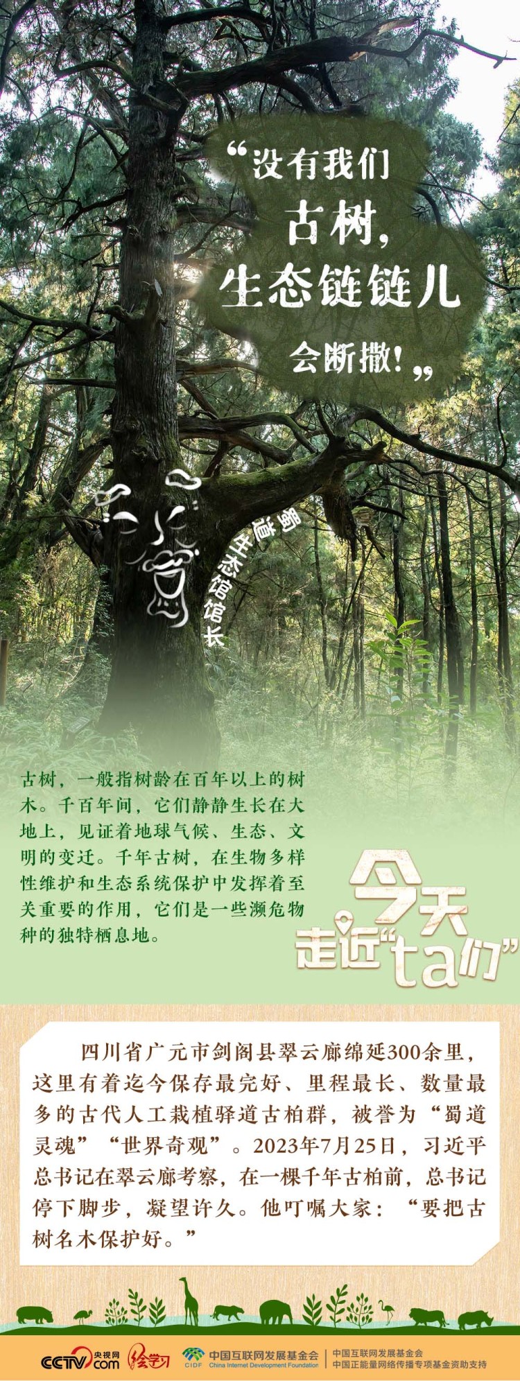 天天學習｜習近平特別關注的“TA們”