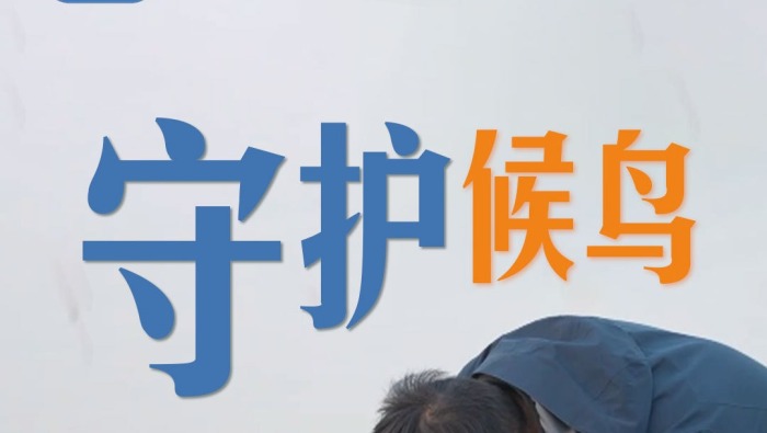 新春走基層·聯播一瞬丨八年守護，讓每一隻候鳥都有溫暖歸途