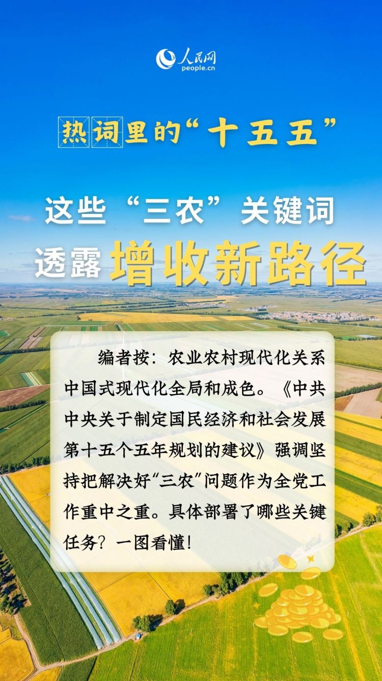 熱詞裏的“十五五”丨這些“三農”關鍵詞，透露增收新路徑_fororder_1