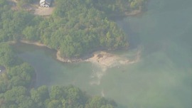 視頻丨一日本航空自衛隊練習機在愛知縣墜毀