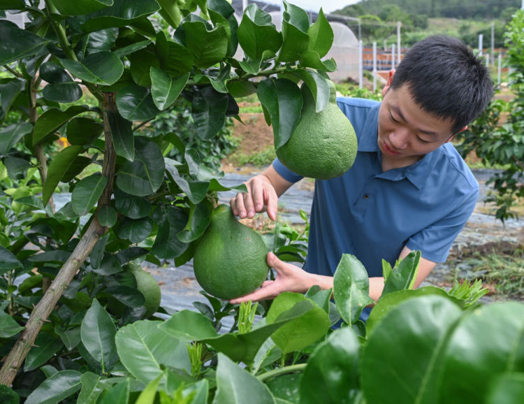 習近平總書記引領中國從脫貧攻堅邁向鄉村全面振興