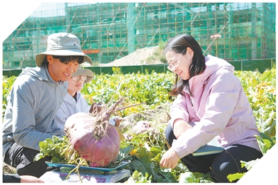 2024年，科技創新對西藏經濟增長貢獻率已提升至42% 雪域高原 創新熱土（科技視點）_fororder_1