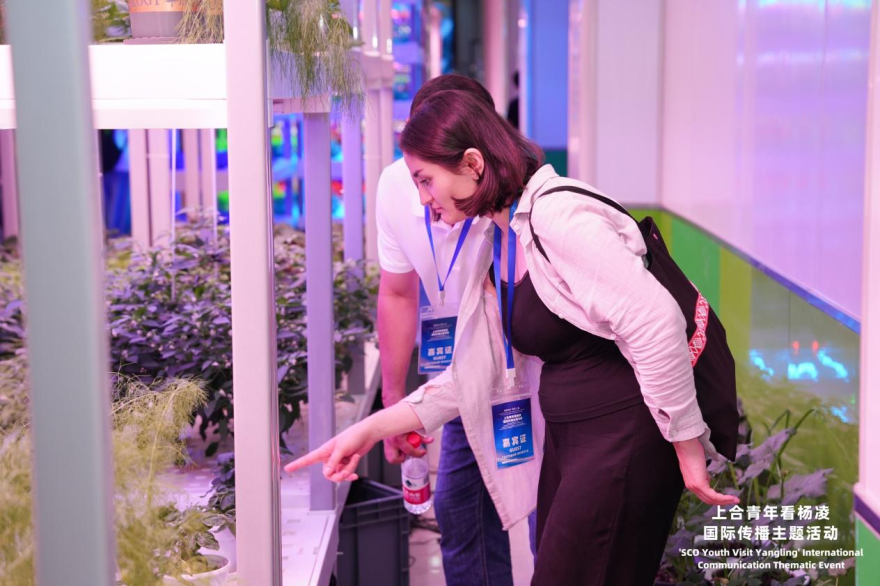 SCO Youth “Check In” at China's Agricultural Science City, Yangling, Exploring New Momentum for International Agricultural Cooperation_fororder_圖片9