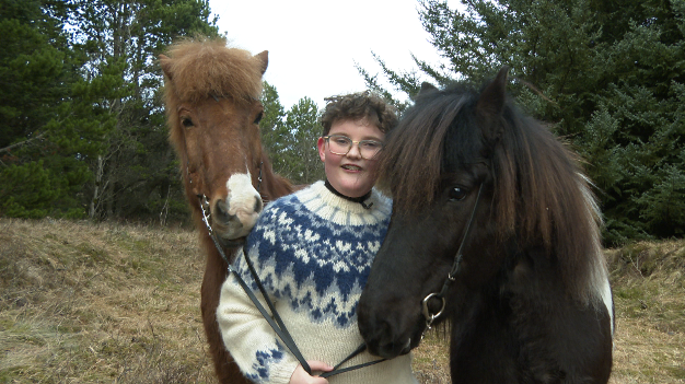 尋馬記 | 外表很萌 血統純正 揭開冰島馬的神秘面紗