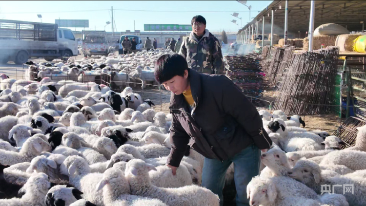 【習聲迴響】讓老百姓幸福就是黨的事業