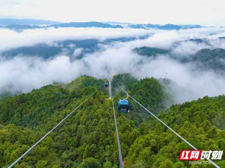 6天接待超8萬人次！雪峰山索道點亮湖南文旅新版圖_fororder_1