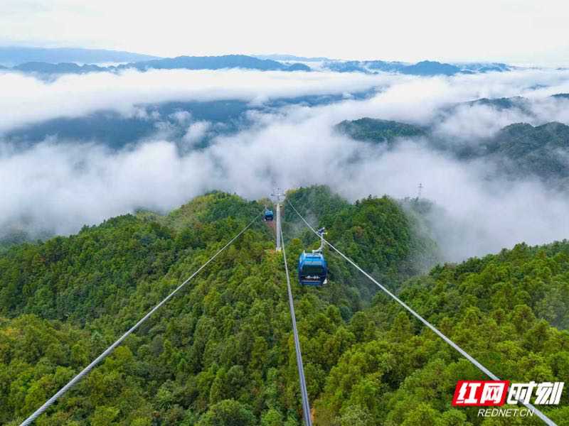 6天接待超8萬人次!雪峰山索道點亮湖南文旅新版圖_fororder_1