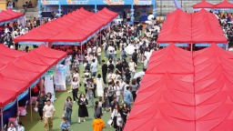 “湘才留湘” 湖南創新引才促就業