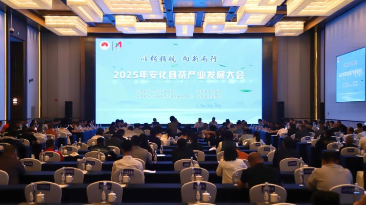 湖南安化召開2025年茶産業發展大會 共商茶産業發展新路徑_fororder_222