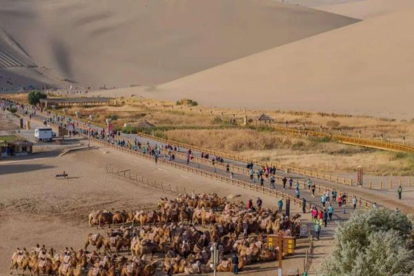 2025敦煌半程馬拉松圓滿落幕