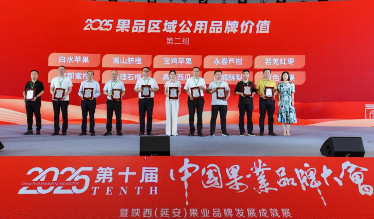 湖南新寧“崀山臍橙”品牌價值突破60.29億元 躋身全國果業第一方陣_fororder_1