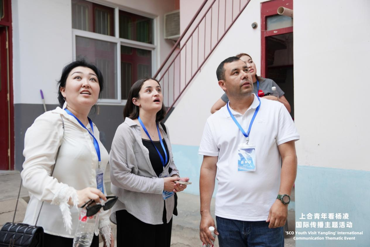 SCO Youth “Check In” at China's Agricultural Science City, Yangling, Exploring New Momentum for International Agricultural Cooperation_fororder_圖片10