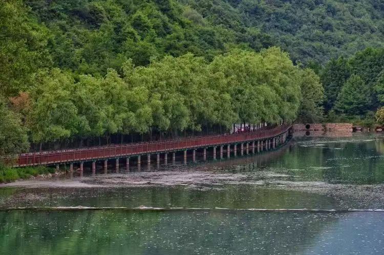 隴南宕昌：以“水”為筆繪就幸福河湖生態畫卷_fororder_微信圖片_20250606132029