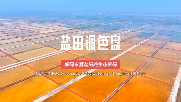 Salt Pan Palette, Decoding the Ecological Secrets of Dongying's Salt Fields_fororder_黃