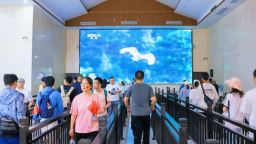 湖南崀山“雙節”假期累計接待遊客48.87萬人次