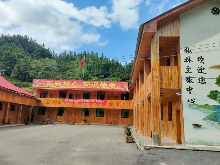 人才與鄉村雙向奔赴 奔向湖南洞口椒林村的詩與遠方_fororder_2