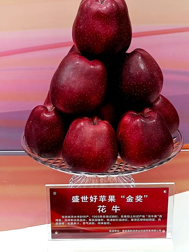 天水秦安花牛蘋果喜獲金獎_fororder_(1)b9df8b05d9be0258e61eef9be6919374