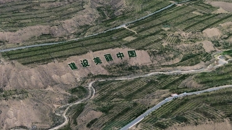 祁連山下播新綠 生態屏障築涼州——武威市涼州區南部山區生態林建設一線觀察_fororder_da2f606fd380263383ad80d310c10fa