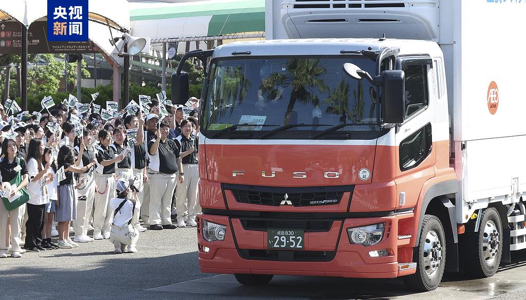 “謝謝你們，再見啦！” 日本民眾排隊送別大熊貓一家