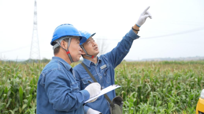 All-round Electricity Services Safeguard Autumn Harvest in Shaanxi
