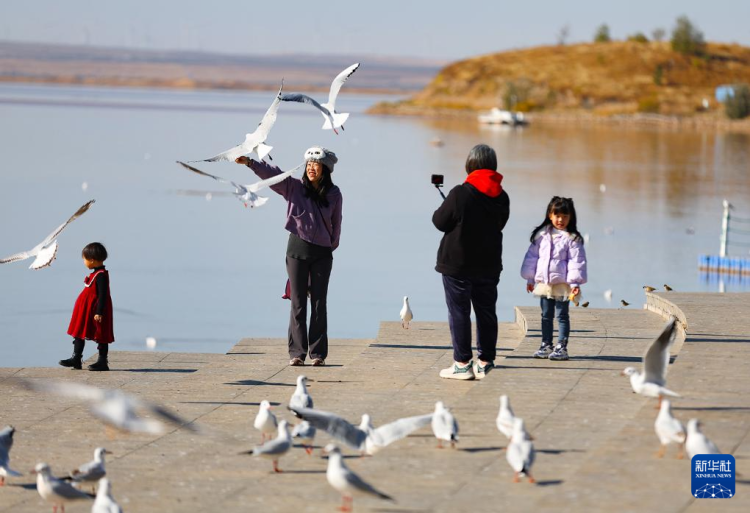 秋日烏海 人鷗同樂_fororder_20251101795fe1fe5c27464893f63c839e055b43_20251101a7c243570aa946a3aab527777dd7d03c