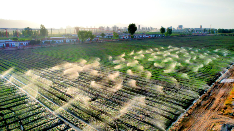 張掖山丹：科技創新為縣域經濟高品質發展蓄勢賦能_fororder_Mix_20220920_160119