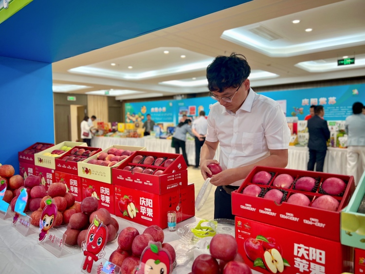 慶陽“甘味”借勢推介會開拓北京市場_fororder_寧縣金農農業扶貧開發有限公司辦公室主任袁超斌正在整理展臺。慶陽融媒記者 王華 攝.JPG