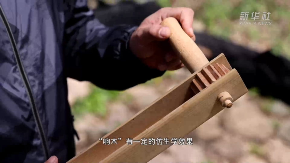 山河印記·尋訪抗戰足跡｜“響木”清脆 抗聯密營裏的“密電波”