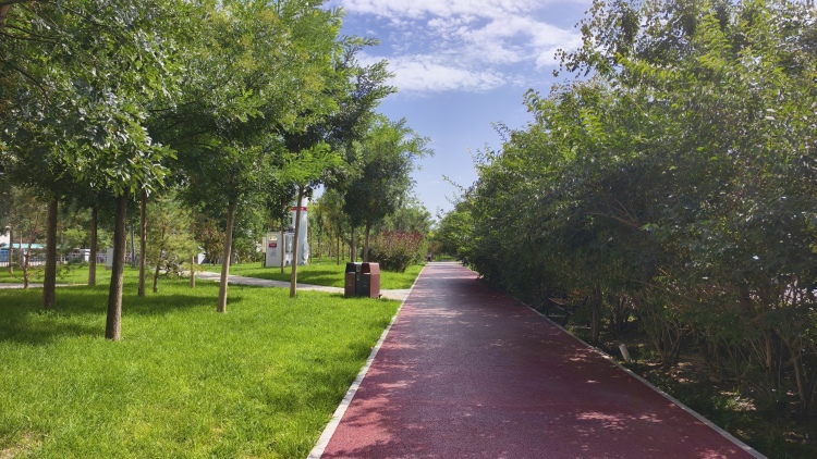 金昌金川區：南京路帶狀公園建成投用 城市綠廊串起民生幸福_fororder_2