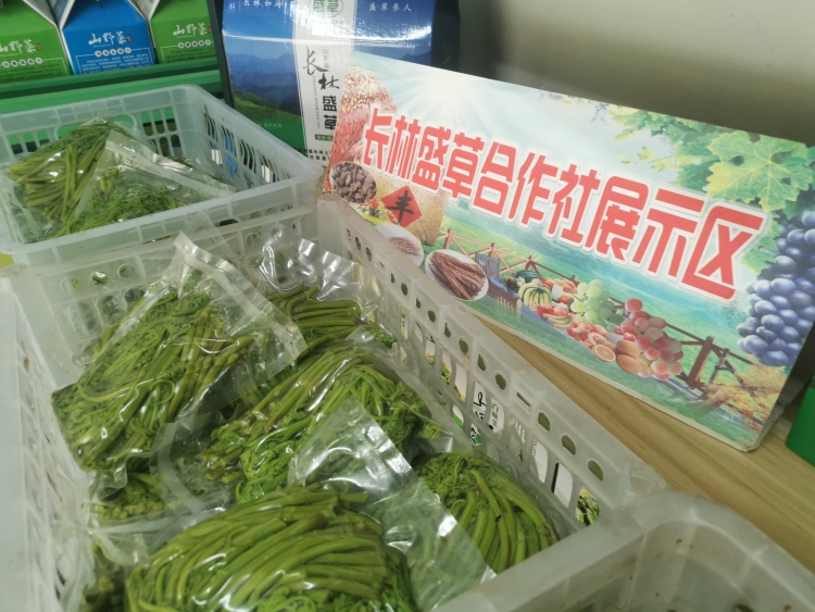隴南宕昌南河鎮：特色産業奏響鄉村振興強音_fororder_微信圖片_20250528103647