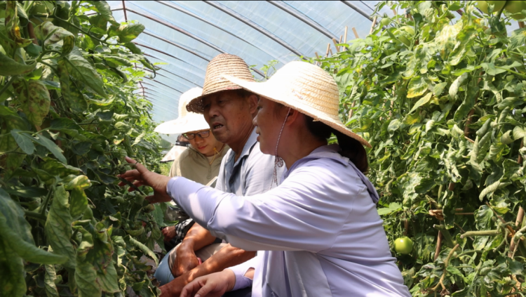 黃山市徽州區：多方聯動解難題  技術助力“好味道”_fororder_助力“好味道”1