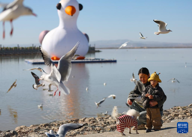 秋日烏海 人鷗同樂_fororder_20251101795fe1fe5c27464893f63c839e055b43_20251101e8b4329fc66144d5b4c91e3fc615b26a