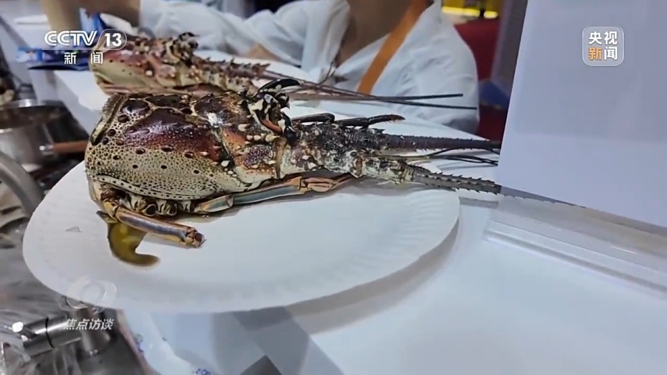 焦點訪談丨從“世界好物”到“全球商機” 進博八年交出亮眼“成績單”