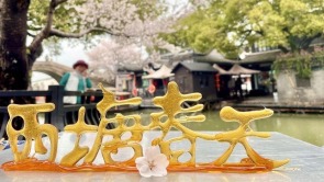 花樣遊古鎮 嘉善文旅混搭激活“一池春水”