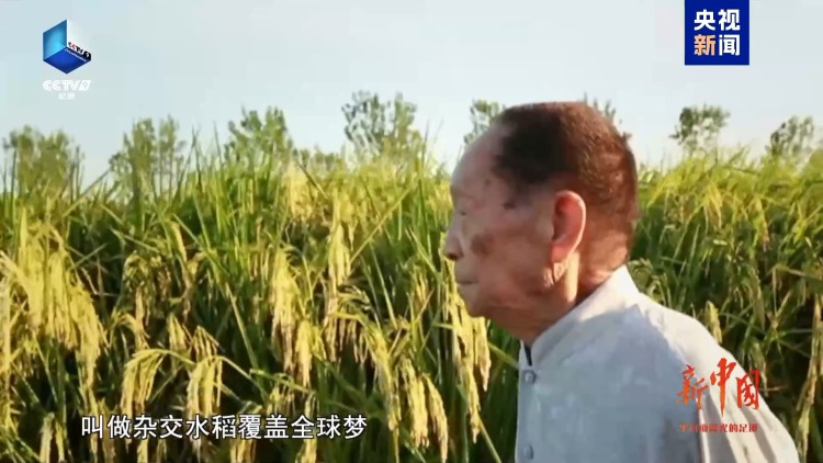全釋硬科技丨這盛世如您所願！9組數字致敬中國科學脊梁