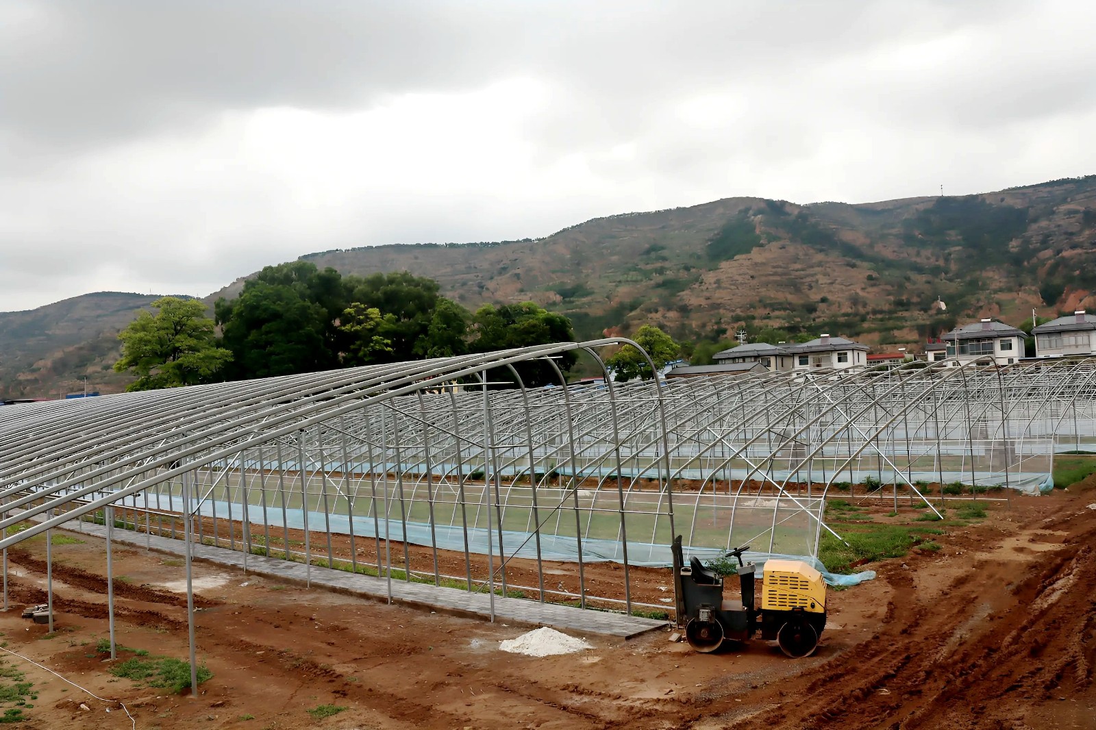 天水秦安縣蓮花鎮：17座冬暖棚加速建設 激活鄉村振興新動能_fororder_1